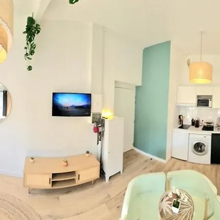 Apartment Arizona Dream - T1 Bis Climatise 4p Wifi Toulouse