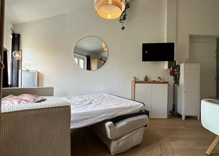 Arizona Dream - T1 Bis Climatise 4p Wifi