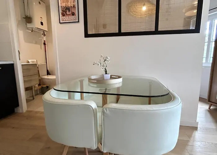 Arizona Dream - T1 Bis Climatise 4p Wifi * トゥールーズ