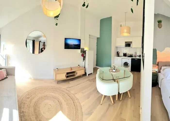 Arizona Dream - T1 Bis Climatise 4p Wifi Apartment